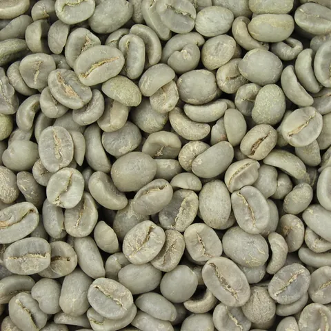 coffee bean: the seed of a tropical plant of the genus Coffea, that is prepared by drying, roasting and grinding...
