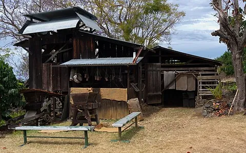 coffee mill: a mill at which coffee beans are dried, roasted, and ground prior to sale