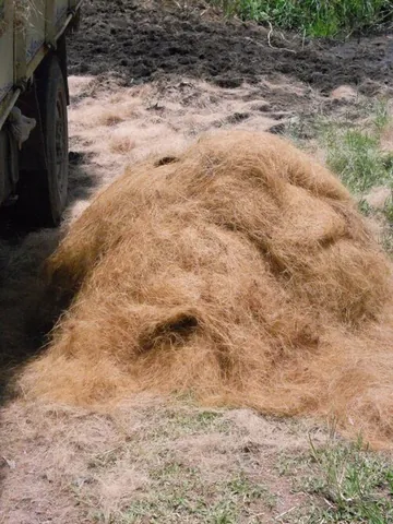 coir: the fibre obtained from the husk of a coconut, used chiefly in making rope, matting and as a peat...