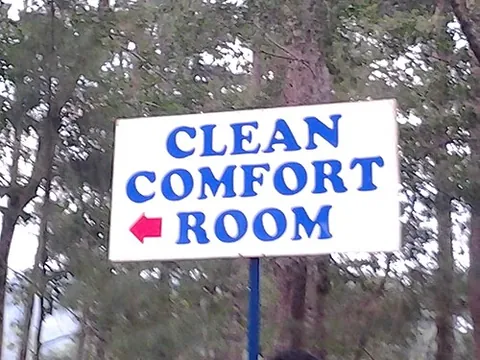 comfort room: lavatory, restroom, water closet, toilet