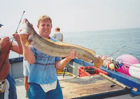 common ling: a fish of the species Molva molva, of eastern Atlantic waters, especially the North Sea