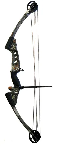 compound bow: a modern bow that uses pulleys and cables to help with the drawing and releasing of the bowstring