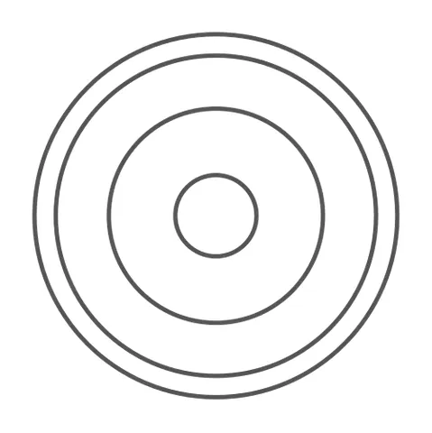 concentric: having a common center