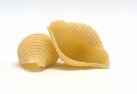 conchiglie: pasta shells