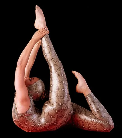 contortion: the act or result of contorting; the state of being contorted: the twisting of something,...