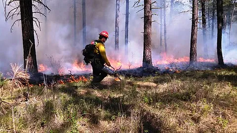 controlled burn: a wildfire or brushfire set intentionally and carefully managed for purposes of fire suppression,...
