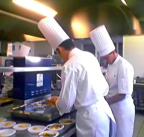 cook: a person who prepares food