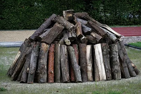 cordwood: wood suitable for use as firewood; firewood cut and split into conveniently sized pieces for easy...