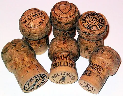 cork: the dead protective tissue between the bark and cambium in woody plants, with suberin deposits...
