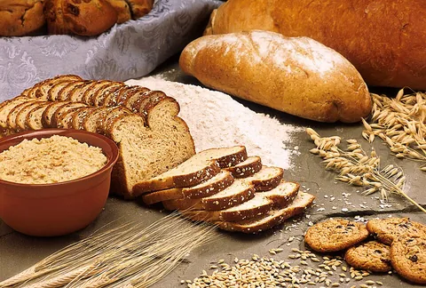corn: any cereal plant (or its grain) that is the main crop or staple of a country or region
