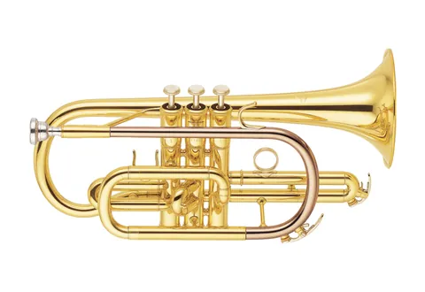 cornet: a musical instrument of the brass family, slightly smaller than a trumpet, usually in the musical...