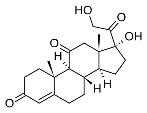 cortisone: a corticosteroid hormone, closely related to corticosterone, produced by the adrenal cortex. One of...