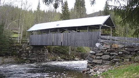 covered bridge: a bridge with a (usually wooden) house-like structure covering it; in many of the wooden versions,...