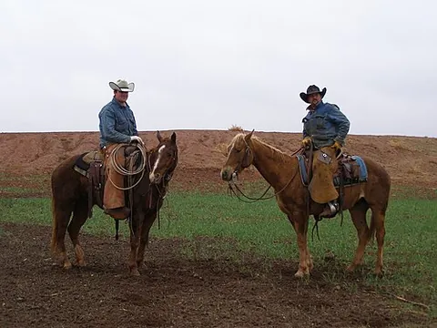 cowboy: a man who tends free-range cattle, especially in the American West