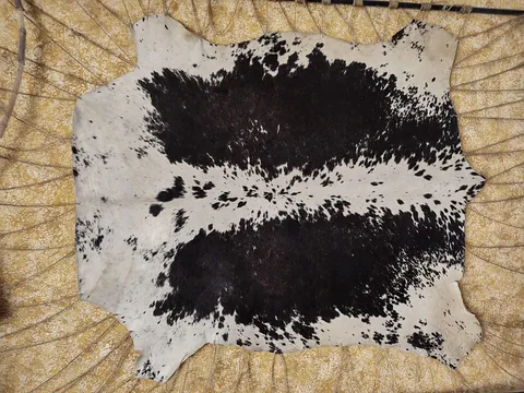 cowhide: a hide of a cow