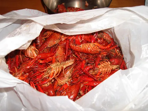 crawfish: any of various freshwater crustaceans: crayfish