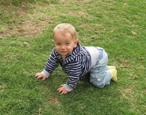crawl: to move by dragging one's body along or close to a surface, like a worm or insect, or on one's...
