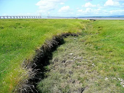 creeklet: a small creek