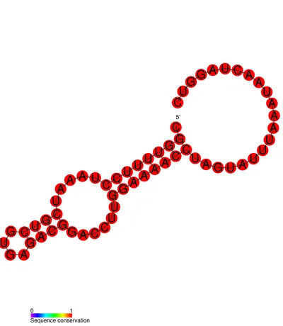 crinivirus: any plant virus of the genus Crinivirus