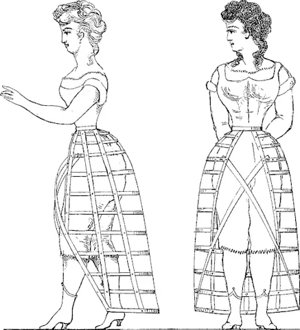 crinolette: a whalebone, cane, or steel framework that was worn between petticoat and dress, attached at the...