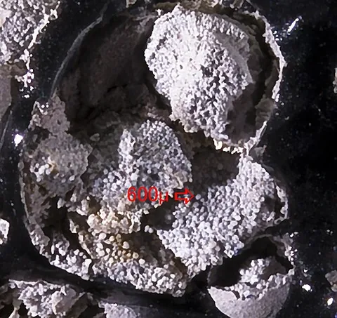 cristobalite: a mineral of volcanic rocks that solidified at a high temperature. Cristobalite is chemically...