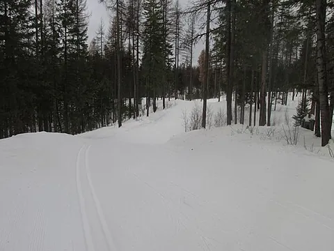 cross-country skiing: an endurance sport and method of getting about involving travelling on skis, uphill as well as...