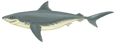 crow shark: any of the genus †Squalicorax of extinct mackerel sharks, known to have lived during the Cretaceous...