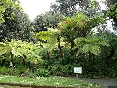 cryptogam: any plant that reproduces using spores (rather than seeds), formerly placed in the taxonomic group...