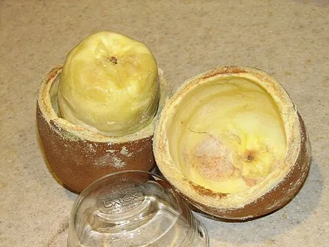 cupuassu: a tropical fruit tree related to cacao, Thebroma grandiflora, the source of an edible fruit whose...