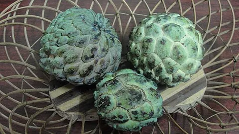 custard apple: a bullock's heart (Annona reticulata);