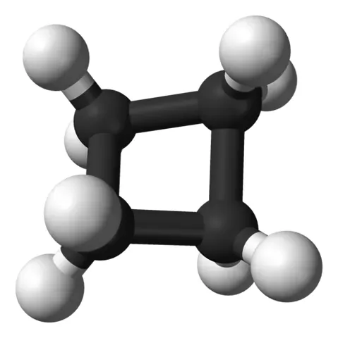 cyclobutane: a simple alicyclic hydrocarbon, C₄H₈; a light inflammable gas