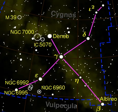 cygnus: a summer constellation of the northern sky, said to resemble a swan. It includes the triple star...