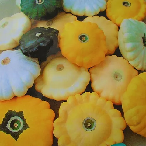 cymling: a pattypan squash