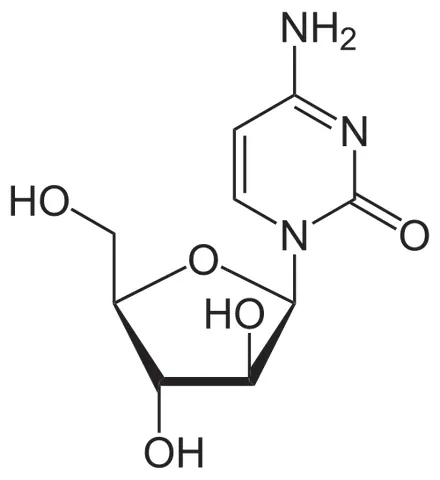 cytarabine: a cytotoxic antineoplastic agent C₉H₁₃N₃O₅ that is a synthetic isomer of the naturally occurring...