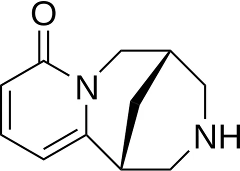 cytisine: a polycyclic alkaloid whose pharmacological activity is similar to nicotine; used in the treatment...