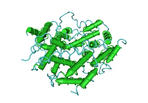 cytokine: any of various small regulatory proteins that regulate the cells of the immune system
