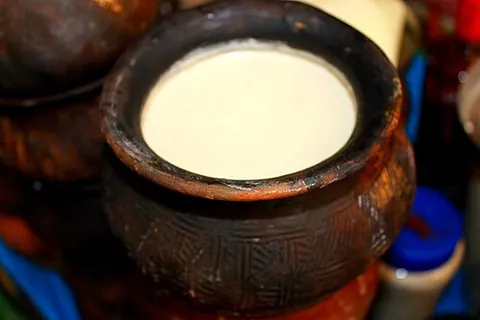 dahi: a yogurt or fermented milk product