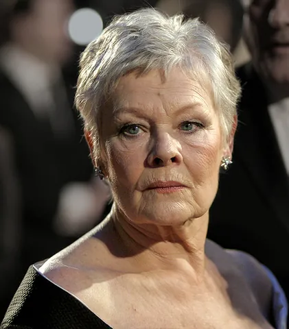 dame: usually capitalized as Dame: a title equivalent to Sir for a female knight