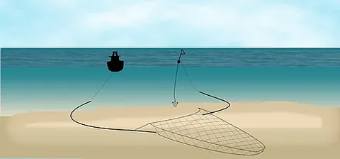 danish seine: a conical fishing net having two long wings with a bag where the fish collect. Long drag lines...