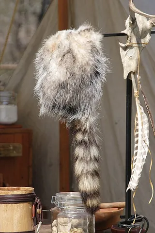 davy crockett hat: a hat made of a real or simulated pelt of a raccoon with the tail hanging in back, particularly...