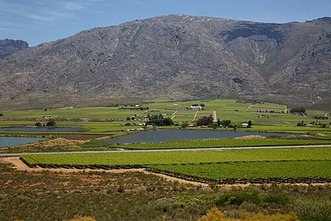 de doorns: a town in Breede Valley local municipality, Cape Winelands district municipality, Western Cape...