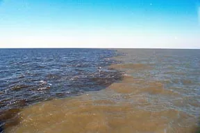 dead zone: an area with no life