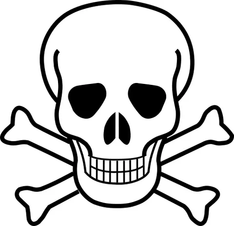 deathskull: a human skull used as a warning of danger or a symbol of death