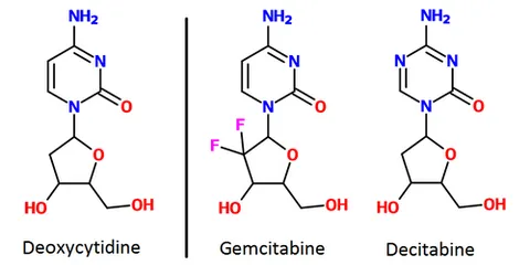 decitabine: 5-aza-2'-deoxycytidine (trademark Dacogen), a cytosine analogue that hypomethylates DNA by...