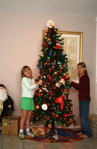 decorate: to furnish with decorations