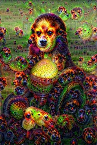 deepdreaming: the use of a convolutional neural network to find and enhance patterns in images via algorithmic...