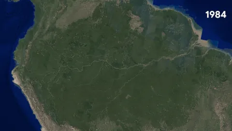 deforestation: the process of destroying a forest and replacing it with something else, especially with an...