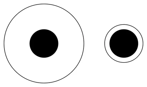 delboeuf illusion: an optical illusion of relative size perception, usually illustrated by two discs of identical...