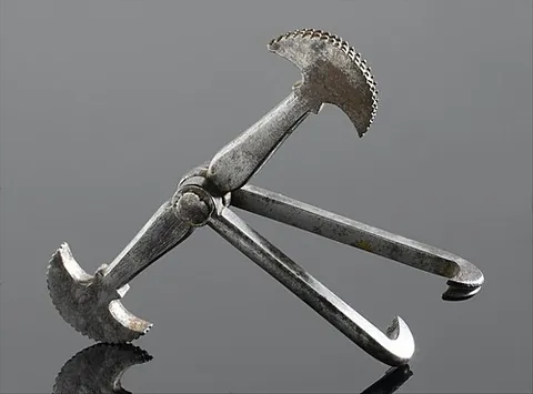 dental pelican: a set of forceps used to force overcrowded teeth apart