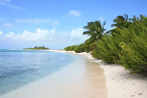 desert island: a deserted island, an uninhabited island, especially one in the tropics and (now frequently...
